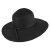 Hoeden - Brighton Sun Hat (zwart)