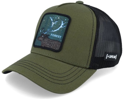 Kap - Capslab Fantastic Beasts Forest Trucker (donkergroen/zwart)