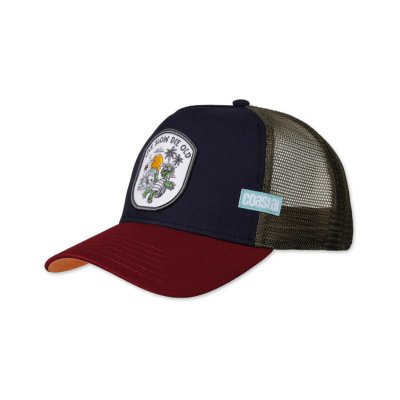 Kap - Coastal HFT LSDO Turtle Trucker (multi)