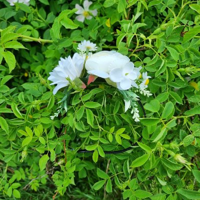 Bloemenkrans - Gårda Eden Flowerband (wit)